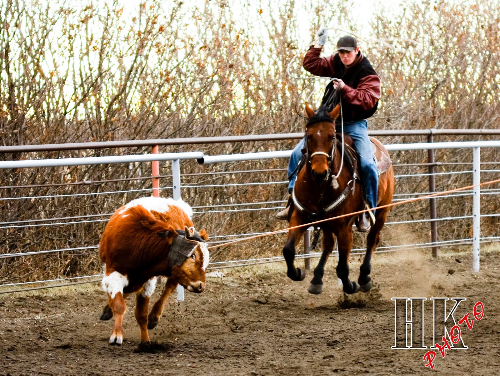 Posted by Heyden-Kaye Photograp...